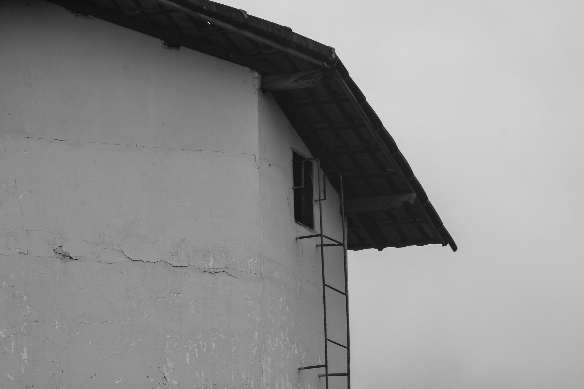 Fascia Repair – Holland